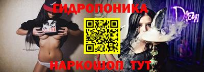 ешки Гатчина