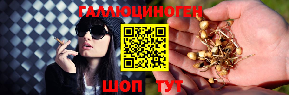 Галлюциногенные грибы мухоморы Нововоронеж